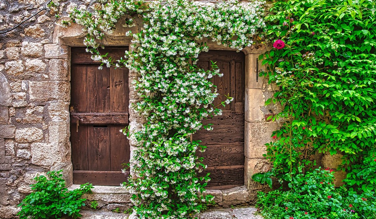 Writing Useful Feedback After Your Stay